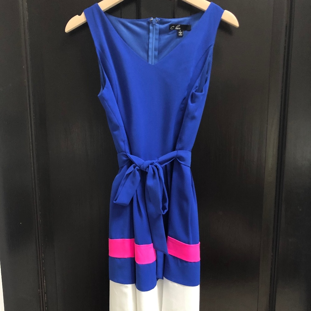 C Luce V Neck Blue Pink White Stripe Dress Size S